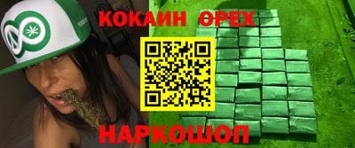 прущие грибы Лесосибирск
