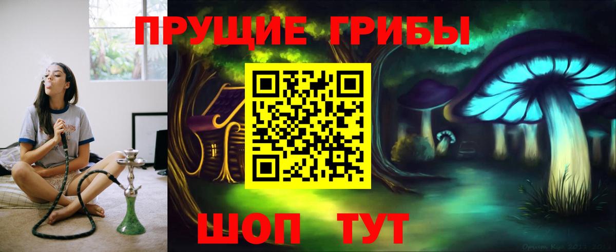 Строитель  Псилоцибиновые грибы ЛСД  Вход с VPN 